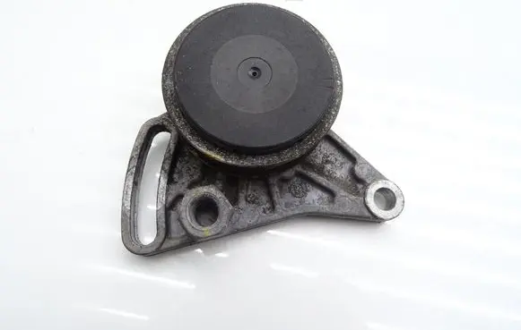 Skoda Superb B5 (3U) Alternator belt tensioner 058260511