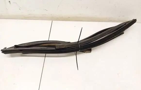 Volkswagen PASSAT B6 Rubber seal front coupe door 3C9839431D