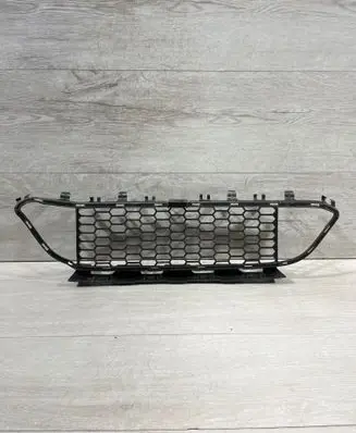 BMW 2 F22 F23 Front bumper lower grill 8055434