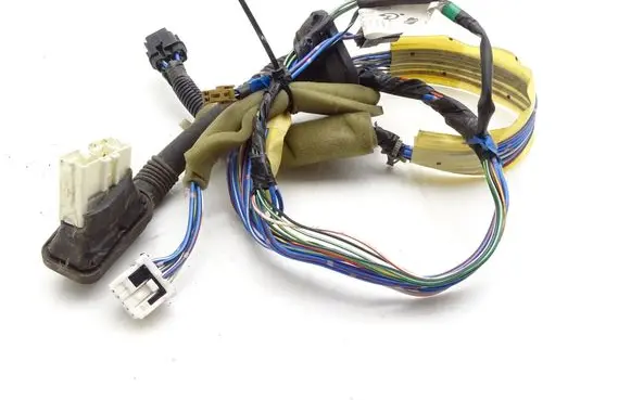 Front door wiring loom