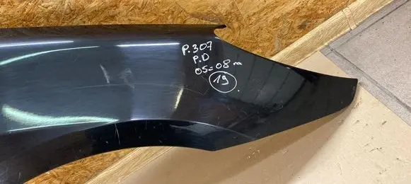 Peugeot 307 Fender