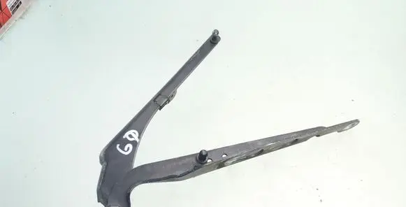 Tailgate/trunk/boot hinge