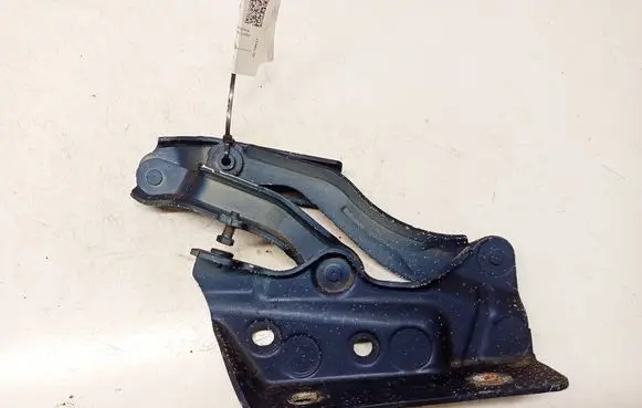 Mercedes-Benz A W169 Engine bonnet/hood hinges A1698800428