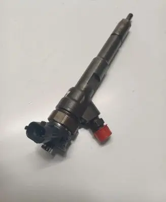 Renault Kangoo II Fuel injector 0445110485