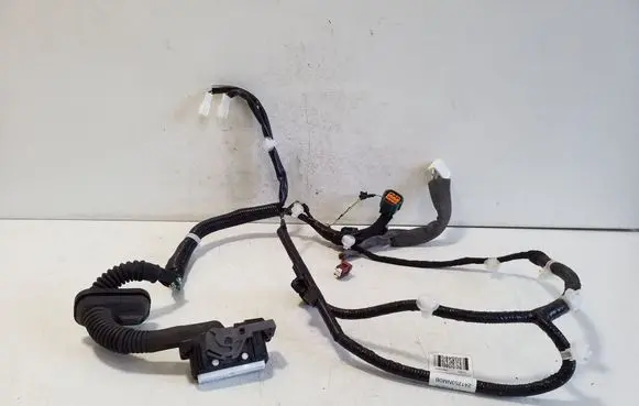Nissan Leaf I (ZE0) Front door wiring loom 241253NM0B