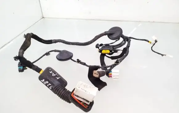 KIA Carens II Front door wiring loom 916001D050