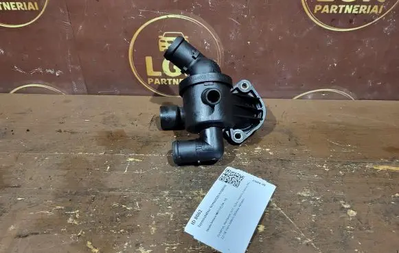 Thermostat/thermostat housing