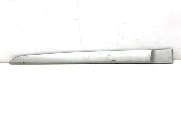 Rear door trim (molding)