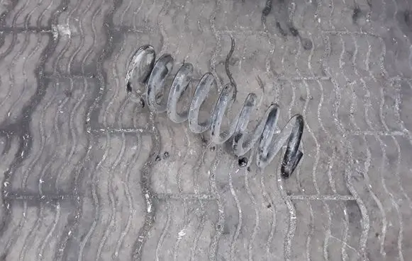 Mercedes-Benz C W204 Rear coil spring NOCODE