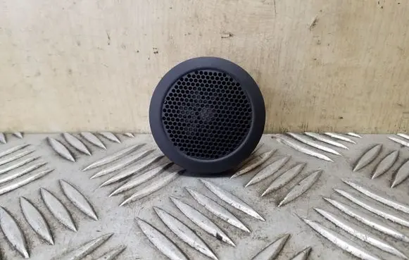 Panel speaker