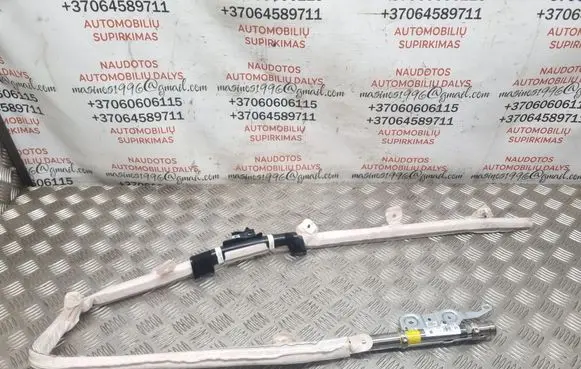 Seat Exeo (3R) Roof airbag 3R9880742