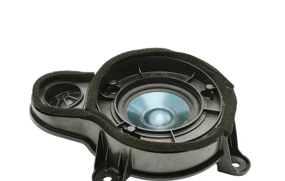 Mercedes-Benz CL C216 Front door speaker A2168200502
