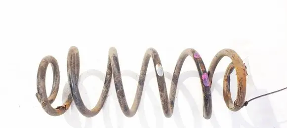 Rear coil spring
