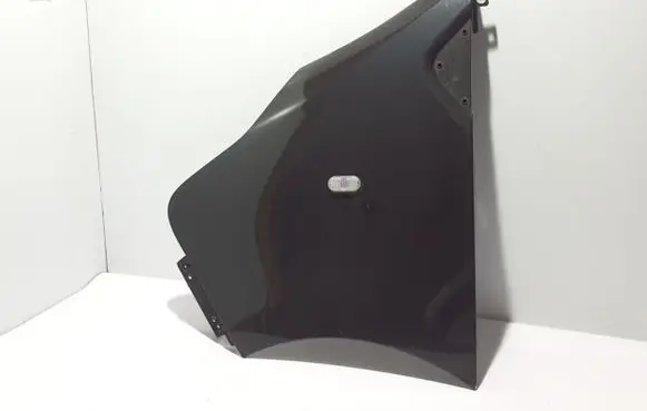 Renault Trafic III (X82) Fender 631014989R