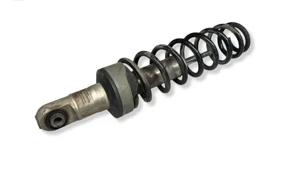 Mercedes-Benz SLS AMG Rear shock absorber/damper A1973200113 0002801404 A1973201313