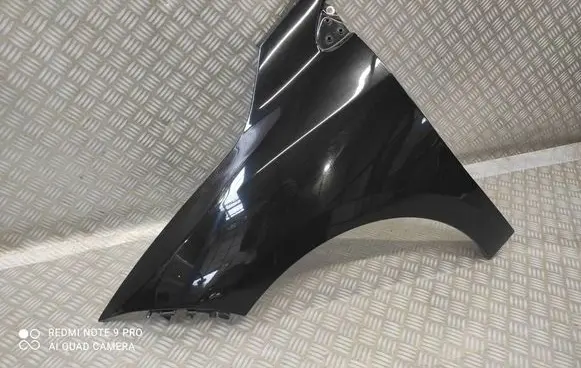 Renault Megane III Fender