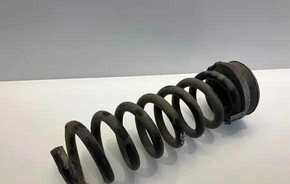 Mercedes-Benz CLS C219 Rear coil spring