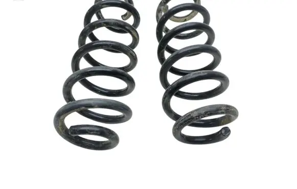 Rear coil spring