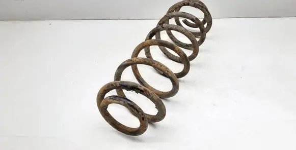 Rear coil spring