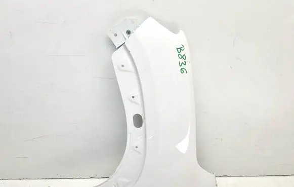 Dacia Spring Fender