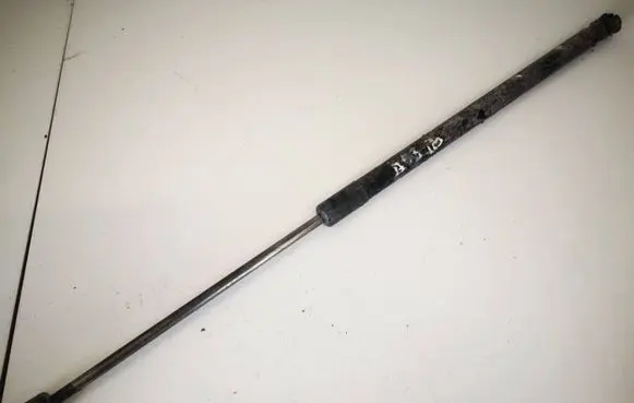 Tailgate/trunk strut/damper