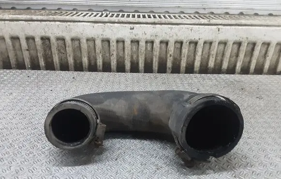 Opel Signum Engine coolant pipe/hose