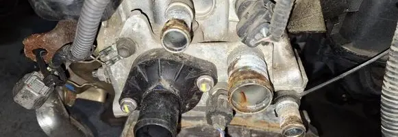 Toyota Yaris Engine coolant pipe/hose