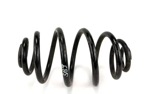 Volkswagen PASSAT B5 Rear coil spring
