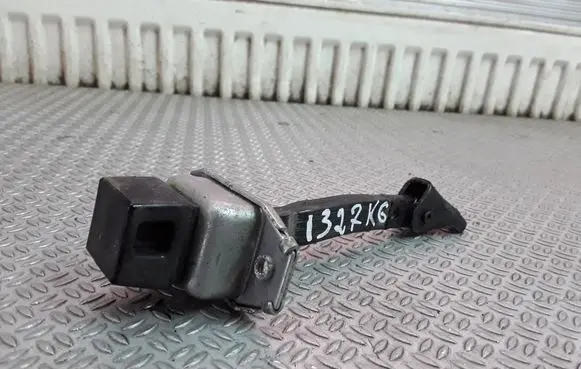 Mitsubishi Lancer X Rear door check strap stopper