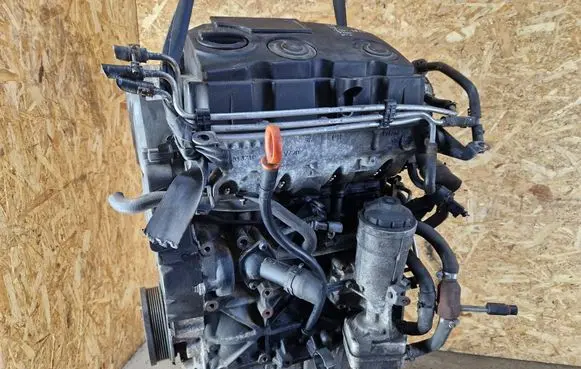 Skoda Octavia Mk2 (1Z) Engine