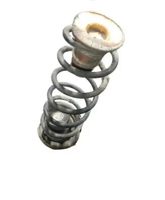 Citroen Berlingo Rear coil spring