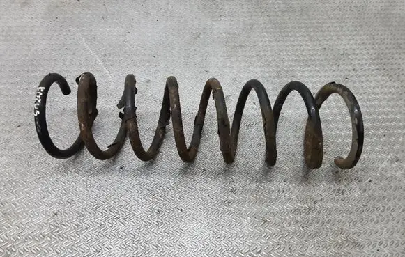 Ford Focus Rear coil spring