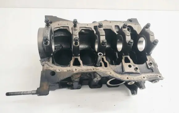 Renault Megane III Engine block 