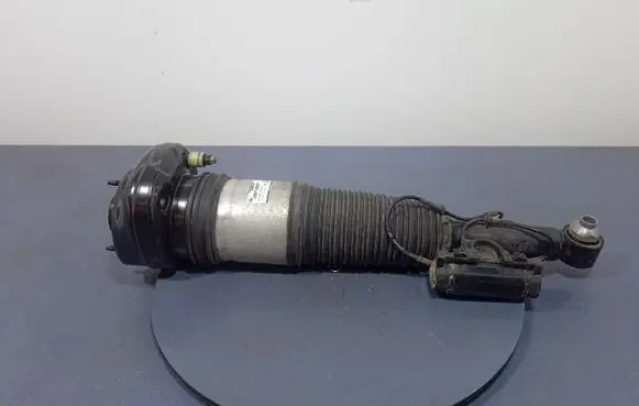 BMW 7 F01 F02 F03 F04 Rear shock absorber/damper 7915954