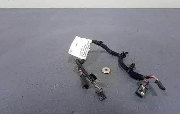 Porsche Panamera (970) Other wiring loom 971971103A