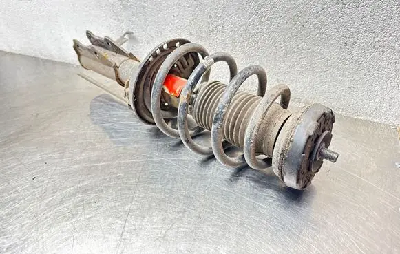 Opel Insignia A Front shock absorber with coil spring 757463L