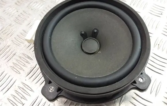 Chevrolet Captiva Front door speaker 25907868 C100A