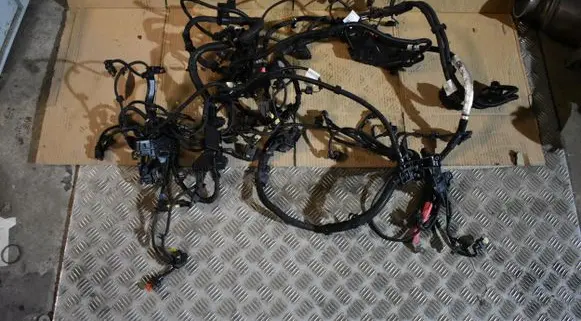 BMW X3 G01 Wiring harness 