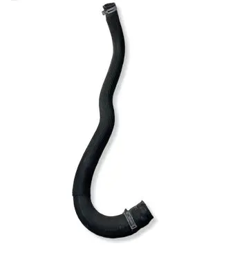 Dodge RAM 1500 DS Coolant pipe/hose 