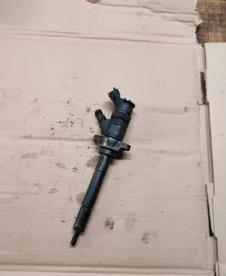 Citroen C4 I Fuel injector 0445110297