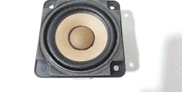Panel speaker