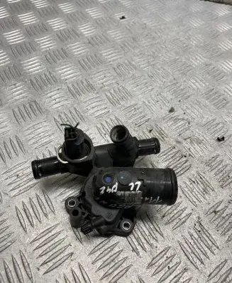 Thermostat/thermostat housing