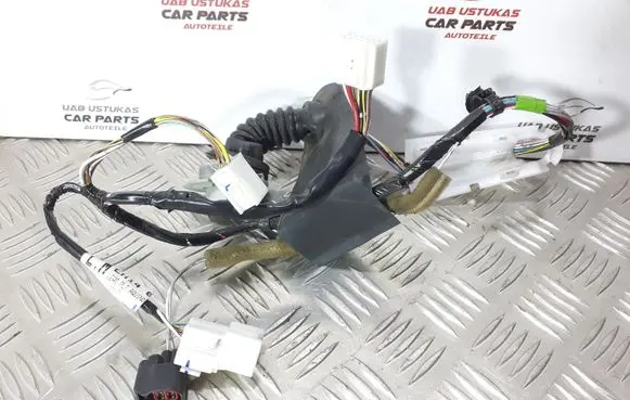 Rear door wiring loom