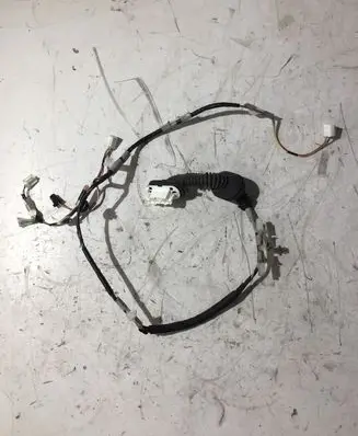 Rear door wiring loom