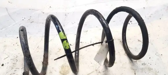 Front coil spring