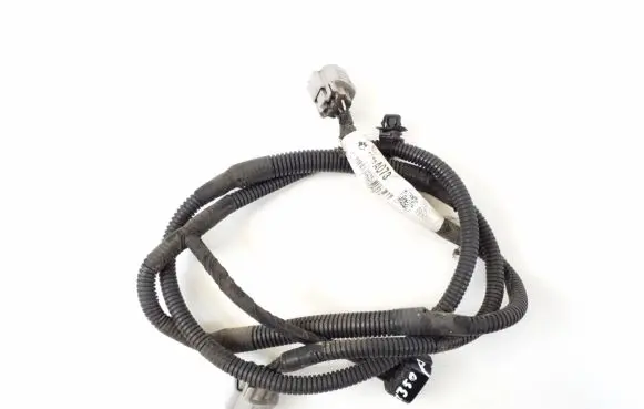 Other wiring loom