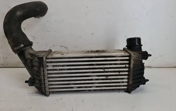 Fiat Scudo Intercooler air channel guide 
