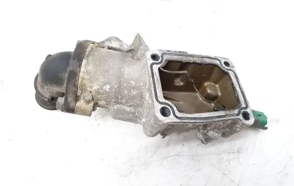 Thermostat/thermostat housing