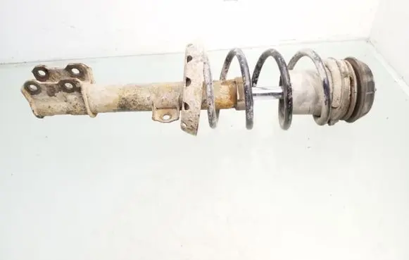 Front shock absorber with coil spring