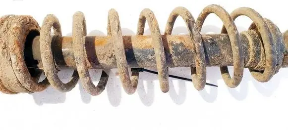 Rear coil spring